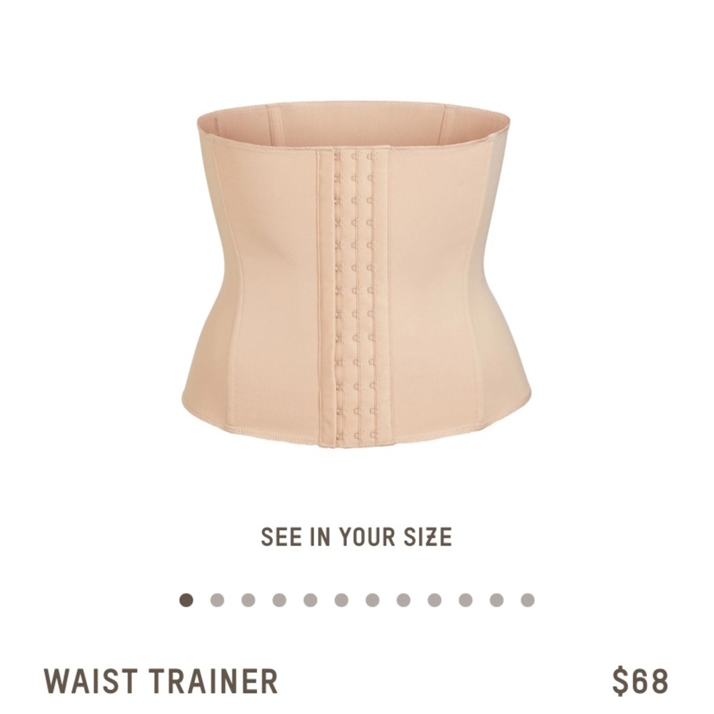 SKIMS Waist Trainer NWT and zip bag